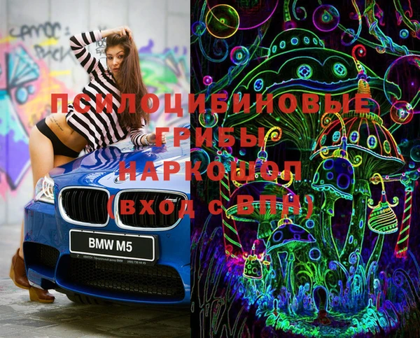 apvp Елизово