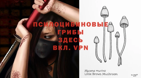 apvp Елизово