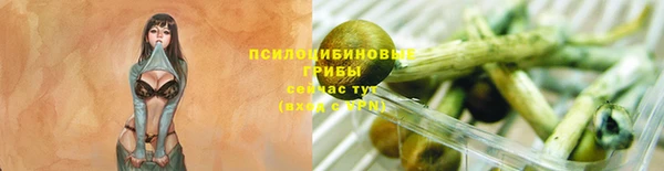 apvp Елизово